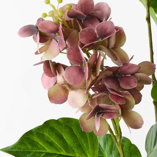 Hydrangea Spray - Eggplant