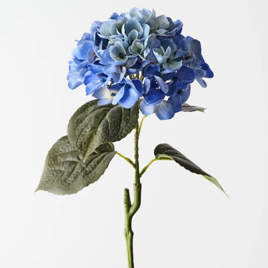 Royal Blue Hydrangea