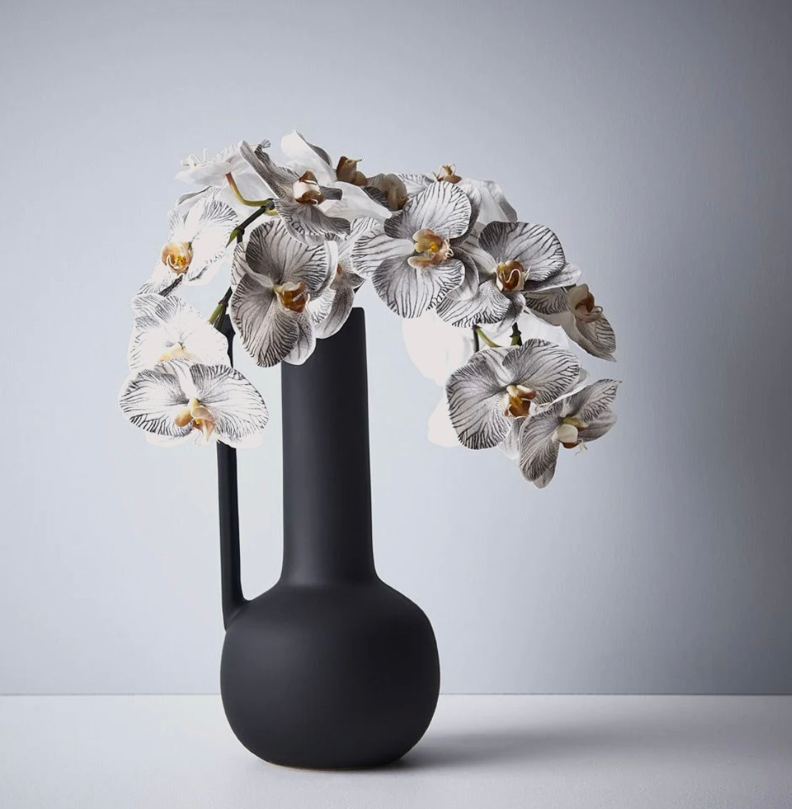 Orchid Phalaenopsis Infused Grey